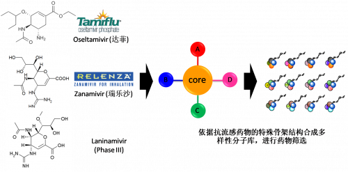 图2：以现有抗流感药物的结构为基础，进行多样性药物分子库的合成。