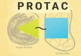 热点前沿:PROTAC初露锋芒，SD-36对抗肿瘤效果卓越