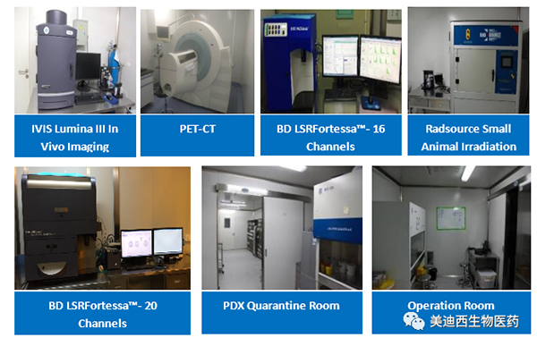 人生就是博药理部拥有IVIS Lumina III, PET-CT, BD LSRFortessa-16，Flow Cytometry等仪器