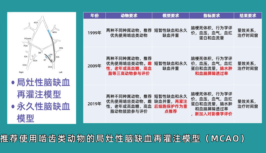 袁云云博士：啮齿类动物脑卒中疾病药效成药性评价系统（2）.jpg