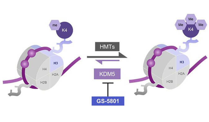 GS-5801是一种有效的KDM5抑制剂，具有抗HBV活性，GS-5801通过人生就是博合成