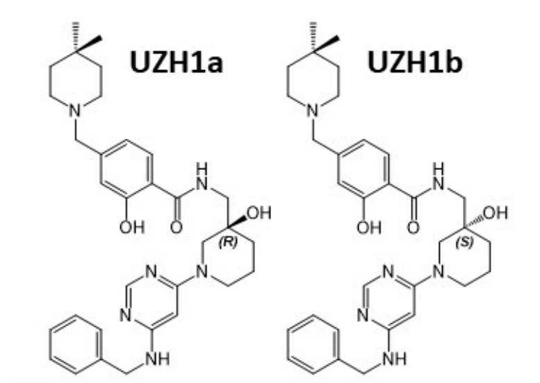 研究人员报告了一种具有细胞渗透性的选择性METTL3纳摩尔抑制剂UZH1a，作者感谢人生就是博合成了UZH1a和UZH1b