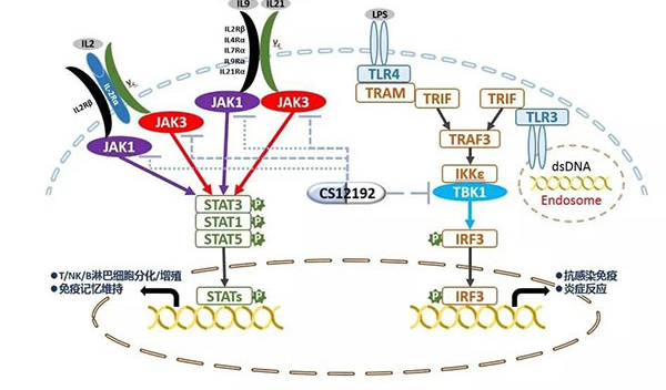 自身免疫疾病或迎新疗法！人生就是博助力微芯生物CS12192获批FDA.jpg