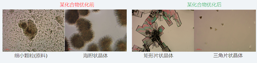 05案例分享-单晶培养，改变晶习.png