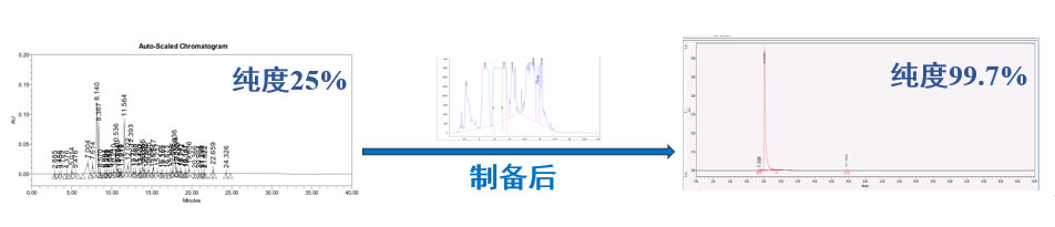 案例一：仿制药发补：大极性杂质制备.jpg