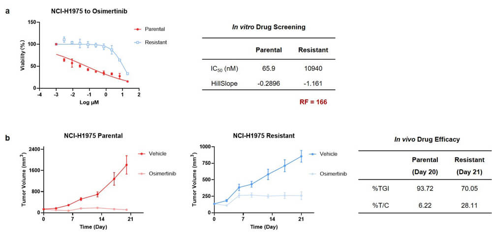 图3-NCI-H1975_奥希替尼耐药模型实验结果.jpg